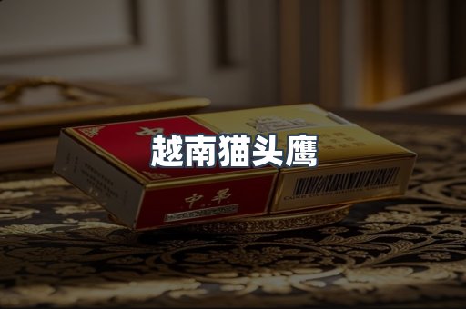 越南猫头鹰
